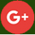 Google+